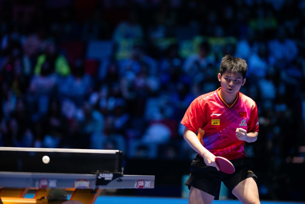 迷和专业人 迷和专业人