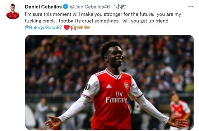 本届电影周 本届电影周